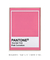 Imagem do Pantone Pink Carnation