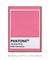 Pantone Pink Carnation - comprar online