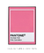 Pantone Pink Carnation - Tura Decor