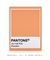 Pantone Pumpkin - Tura Decor