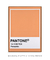 Pantone Pumpkin - comprar online