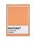 Pantone Pumpkin