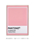 Imagem do Pantone Ticked Pink