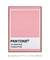 Pantone Ticked Pink - comprar online