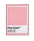 Pantone Ticked Pink