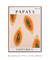 PAPAYA COSTA RICA - comprar online