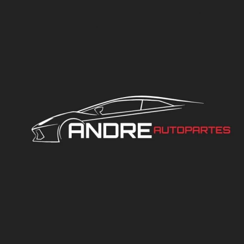 AUTO ELECTRICA ANDRE (GONARE)