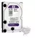 DISCO DURO 1 TB INTERNO WESTER DIGITAL PURPURA SATA - comprar online