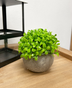 Mini arbusto artificial con Maceta redonda gris - comprar online