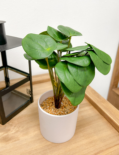 Planta artificial estilo peperomia con maceta blanca - comprar online