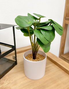 Planta artificial estilo peperomia con maceta blanca en internet