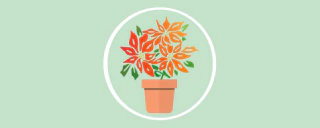 Vivero mi jardin