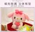 Kawaii anime sanrioed olá kitty kuromi cinnamoroll bonecas de pelúcia ornament - comprar online