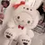 Imagem do 25cm anime sanrio boneca de pelúcia brinquedos kawaii olá kitty kuromi minha m