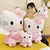 hello kitty rosa pelúcia na internet