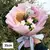 Buquê de pelúcia rosa Hello Kit na internet