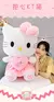 hello kitty rosa pelúcia - loja online