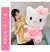 Imagem do hello kitty rosa pelúcia