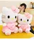 Imagem do hello kitty rosa pelúcia