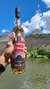 Premium 750ml na internet