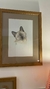 Quadros Pets - loja online