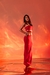 Vestido Shine na internet