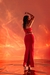 Vestido Shine - loja online