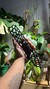 Tronco encastrable grande (unidad) - comprar online