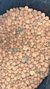 Leca (Clay Pebbles) Agregado ligero de Arcilla Expandida - comprar online