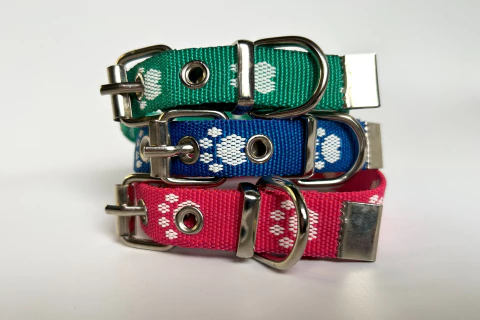 Collar Clásico Pata en Cinta de 15 mm - comprar online