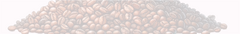 Banner de la categoría Colección GUARDIANES del Café