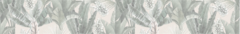 Banner de la categoría SILVIA BETANCOURT