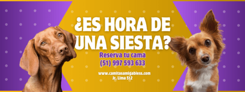 Carrusel 1