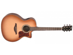 Banner de la categoría GUITARRAS ELECTRO-ACUSTICAS (CUERDAS DE ACERO)