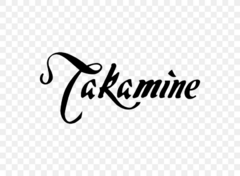 Banner de la categoría TAKAMINE GUITARRAS ELECTROACÚSTICAS 