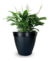VASO REDONDO ESTILO VIME COM BORDA RETA PRETO - 21L