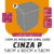Capa de Máquina de Vinil Cinza Tamanho P - comprar online