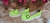 Mocassim Sheffield - loja online