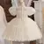 Imagem do Vestido de Festa Infantil