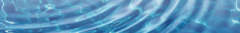 Banner de la categoría Dabar