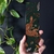 Marca Página Wild Life - comprar online