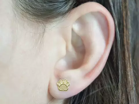 Brinco P Patinha Folheado A Ouro - comprar online