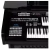 Órgão Harmonia - HS 95 Preto Laca - comprar online