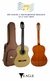 VIOLAO CLASSICO EAGLE*