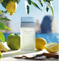 Perfume Dolce & Gabbana Light Blue 50ml - S SOARES IMPORTADOS