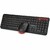 Kit Teclado + Mouse, USB, ABNT2, Windows XP/7/8/10, 1.200 DPI, Preto - K-W100BK - C3Tech na internet