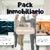 Pack editable inmobiliario