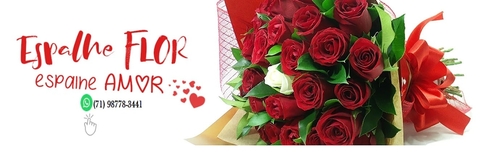 Carrossel 1