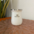 SET MATERO BLANCO - TERMO 1 LITRO + MATE TÉRMICO 260 ML SIMIL - TIENDA PAPU