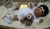 Bebê Reborn kit sweetie negra - Emily Reborn